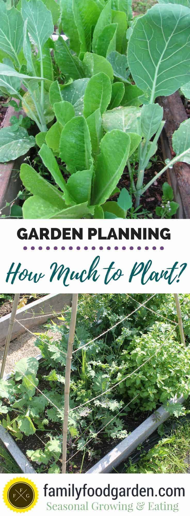 Vegetable Garden Planning