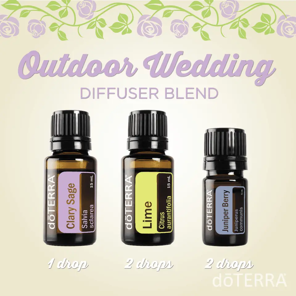 doTerra essential oil diffuser blends.