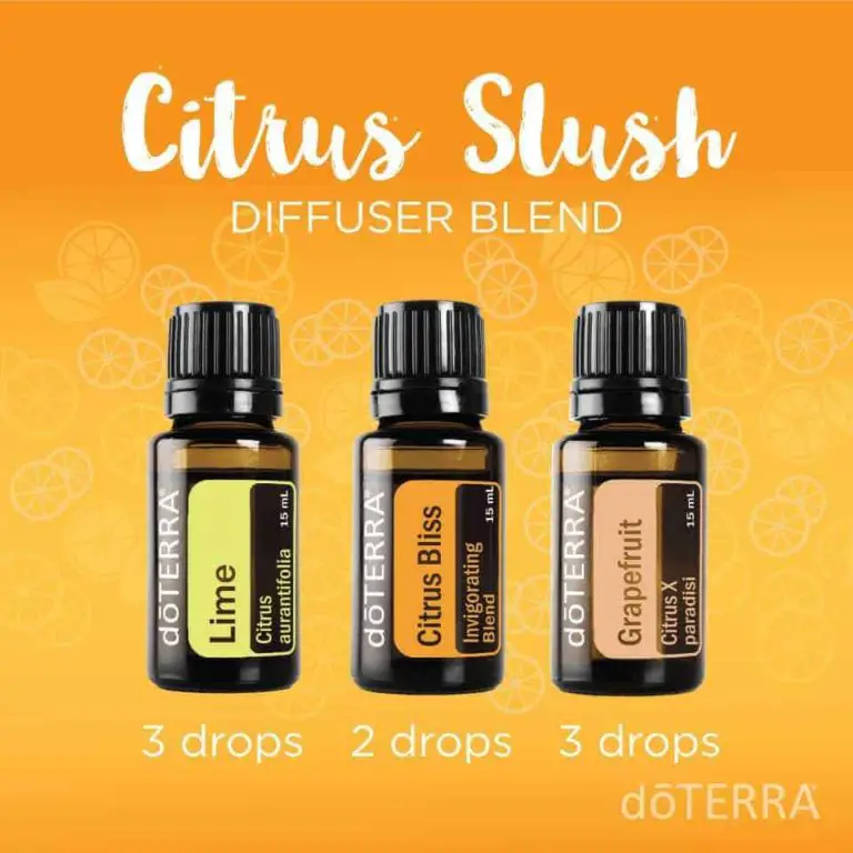 Best Essential Oil Blends for your Diffuser | Family Food Garden