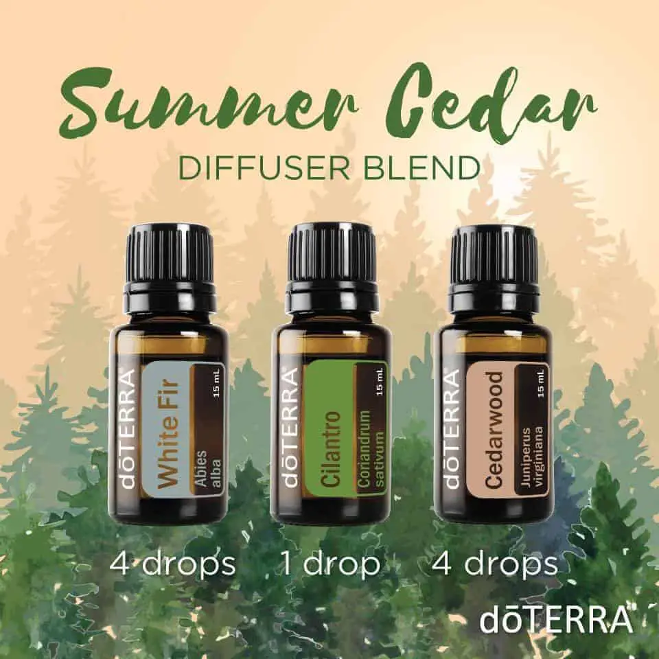 doTerra essential oil diffuser blends.