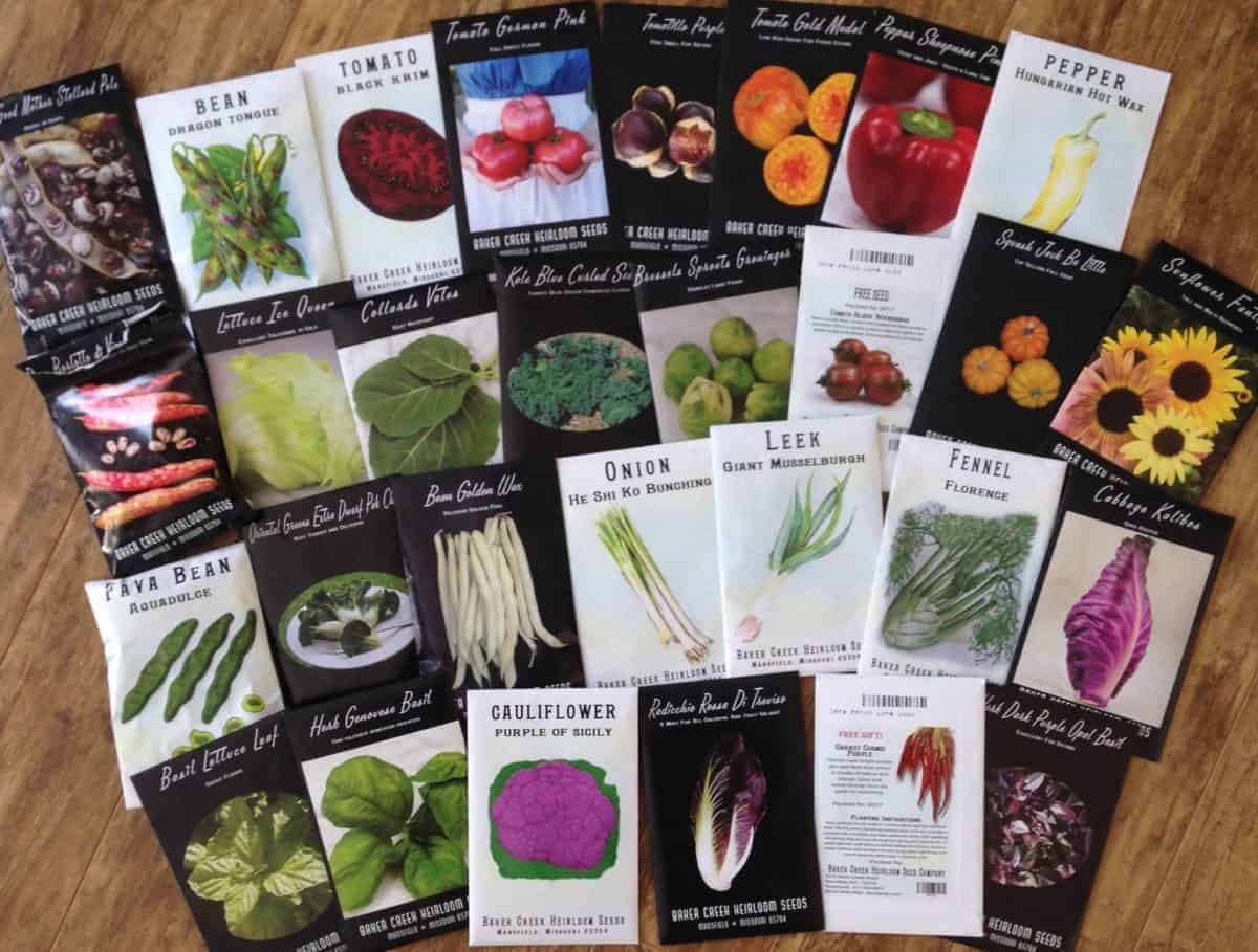 Vegetable and Flower Seeds