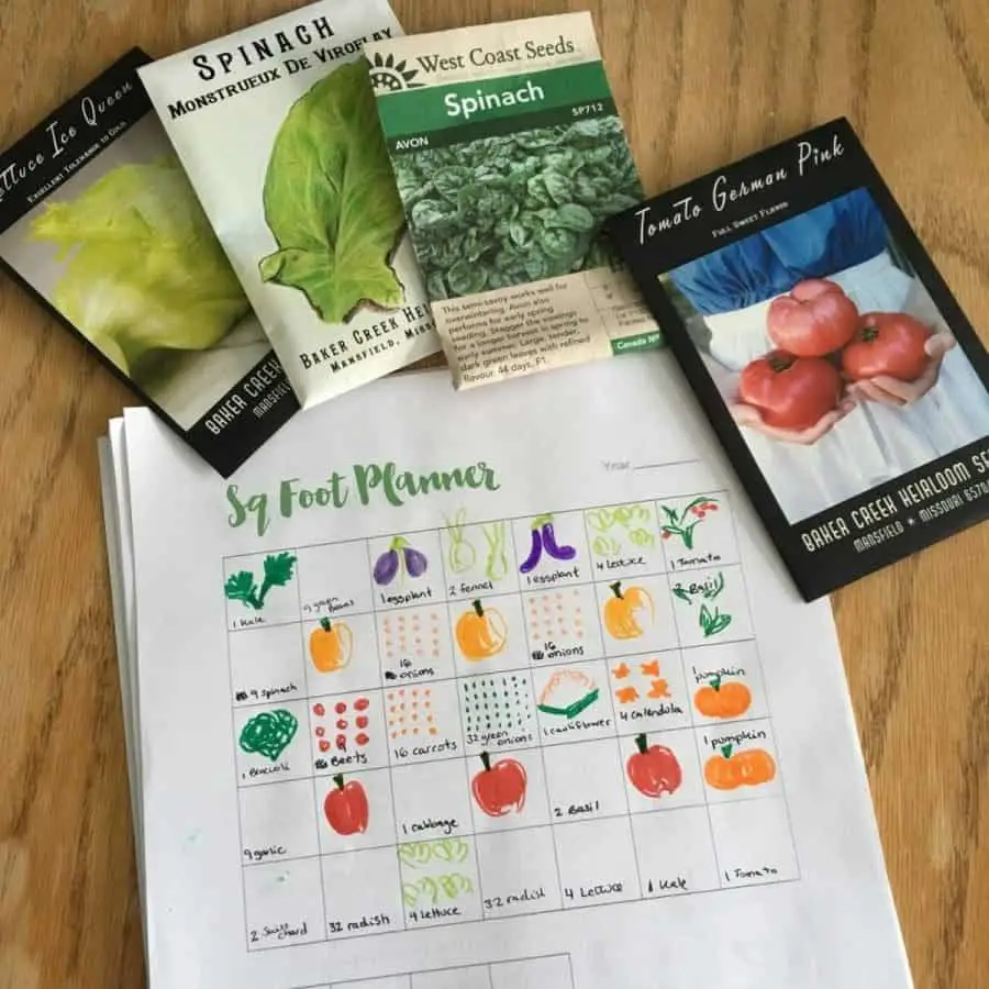 Creating a garden planting schedule