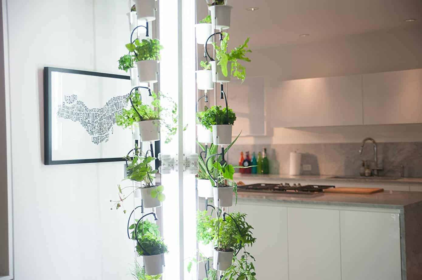 Indoor hydroponics system