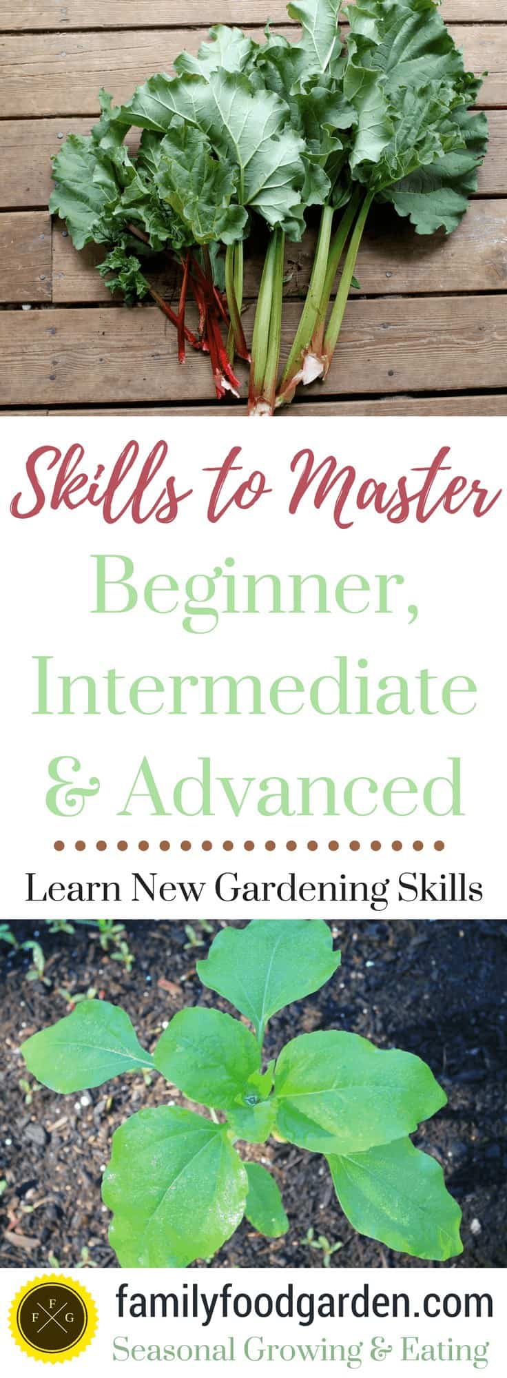 Become a better gardener by expanding your skills