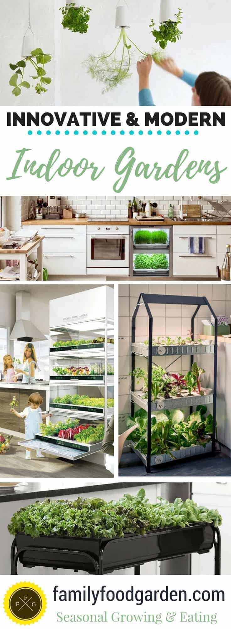 Indoor Gardening: Ideas to Grow Food Inside