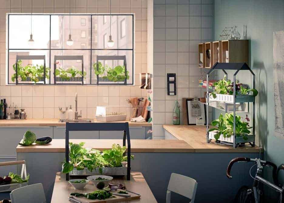 Indoor hydroponic gardening