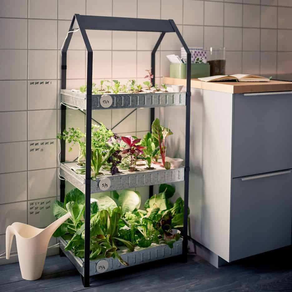 Aquaponics greenhouse kit Our main hustles collapsed, but we bounced back through agribusiness