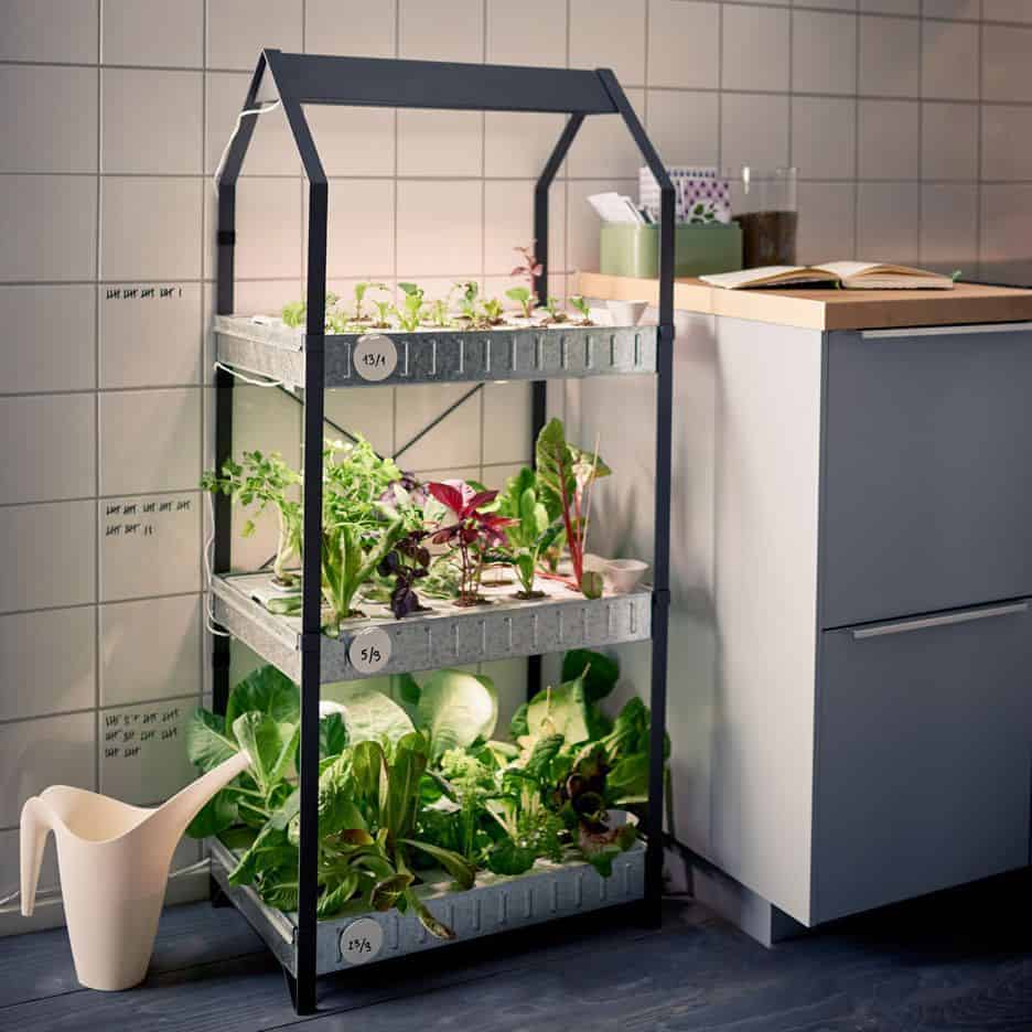 Indoor Gardening Ideas to Grow Food Inside | Family Food ...