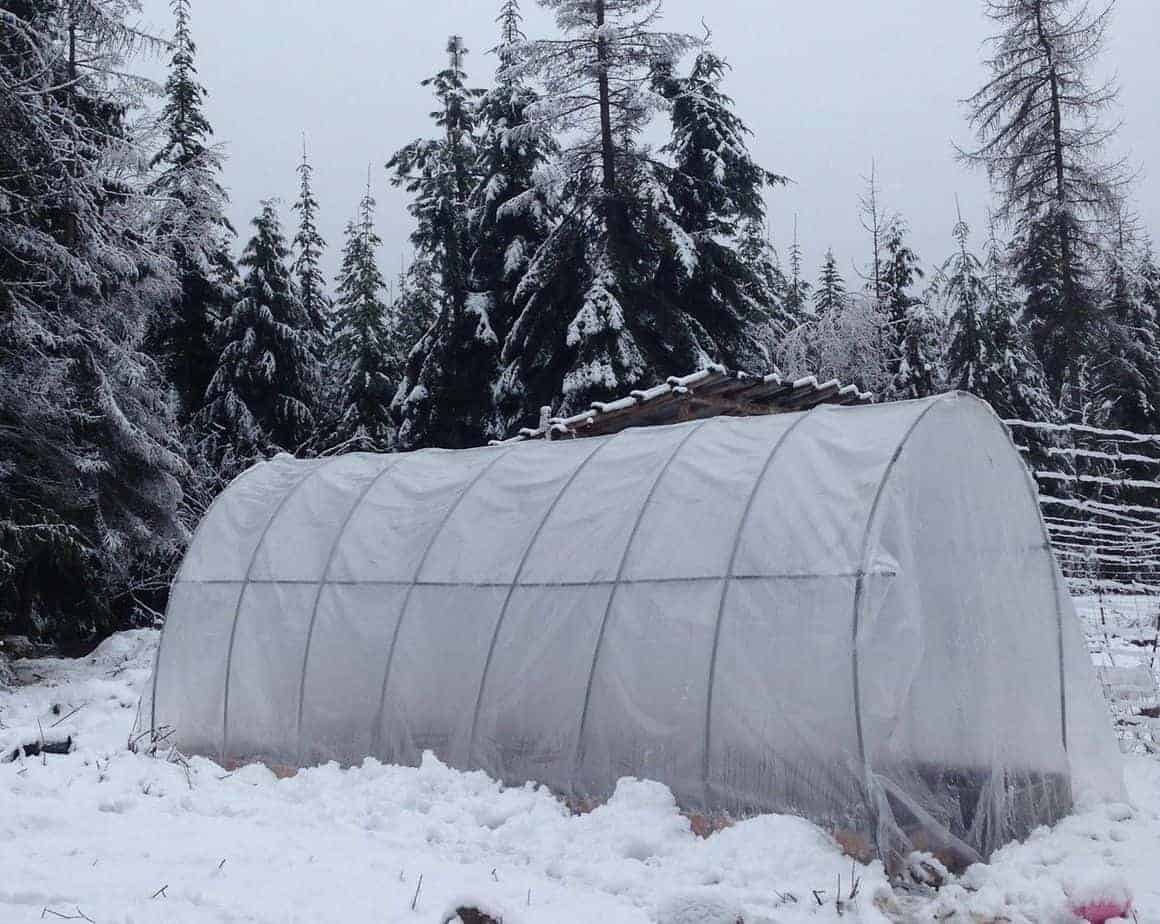 Polytunnel Greenhouse