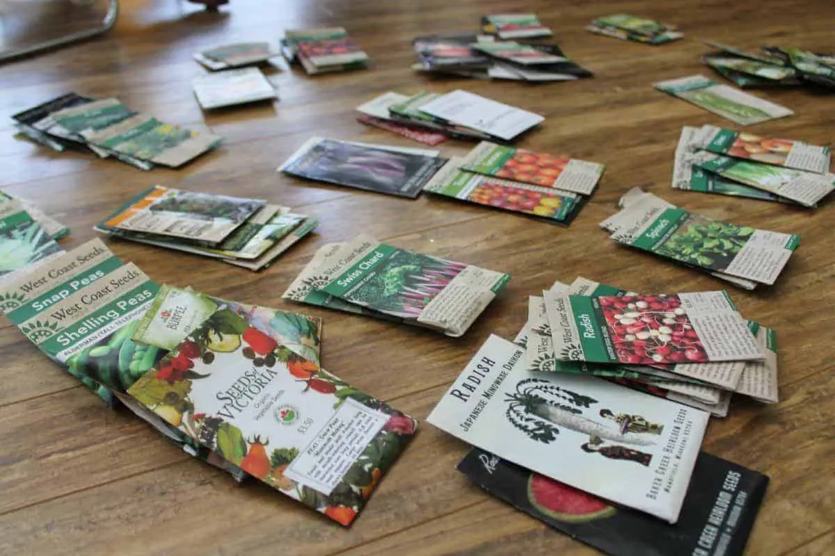 Organize your seeds by what crop family they're in