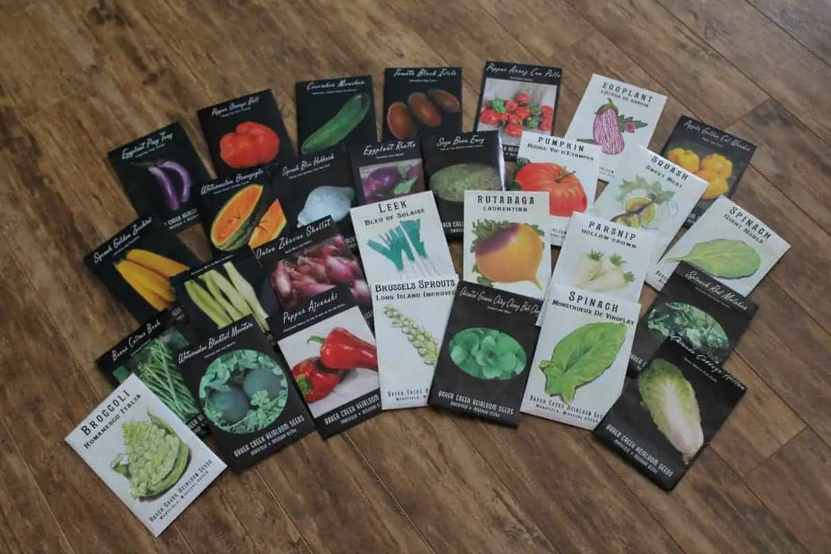 Collection of vegetable and flower seeds