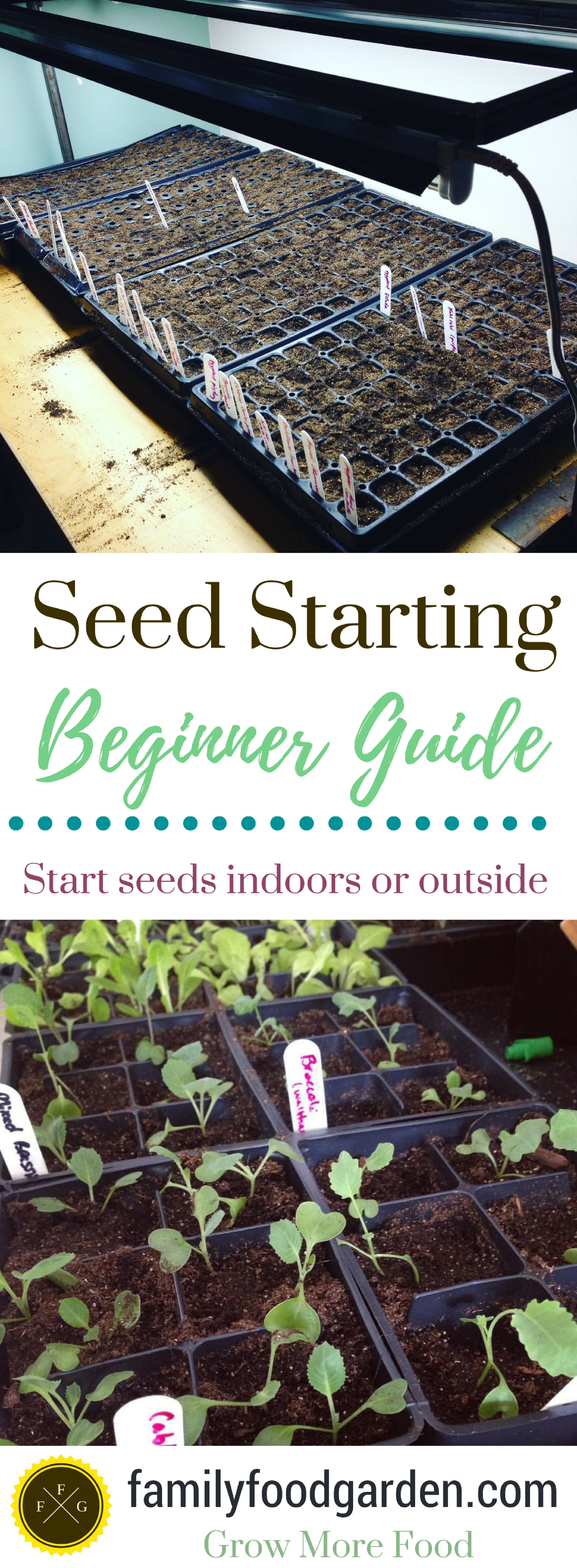 Learn how to plant seeds in this seed starting guide