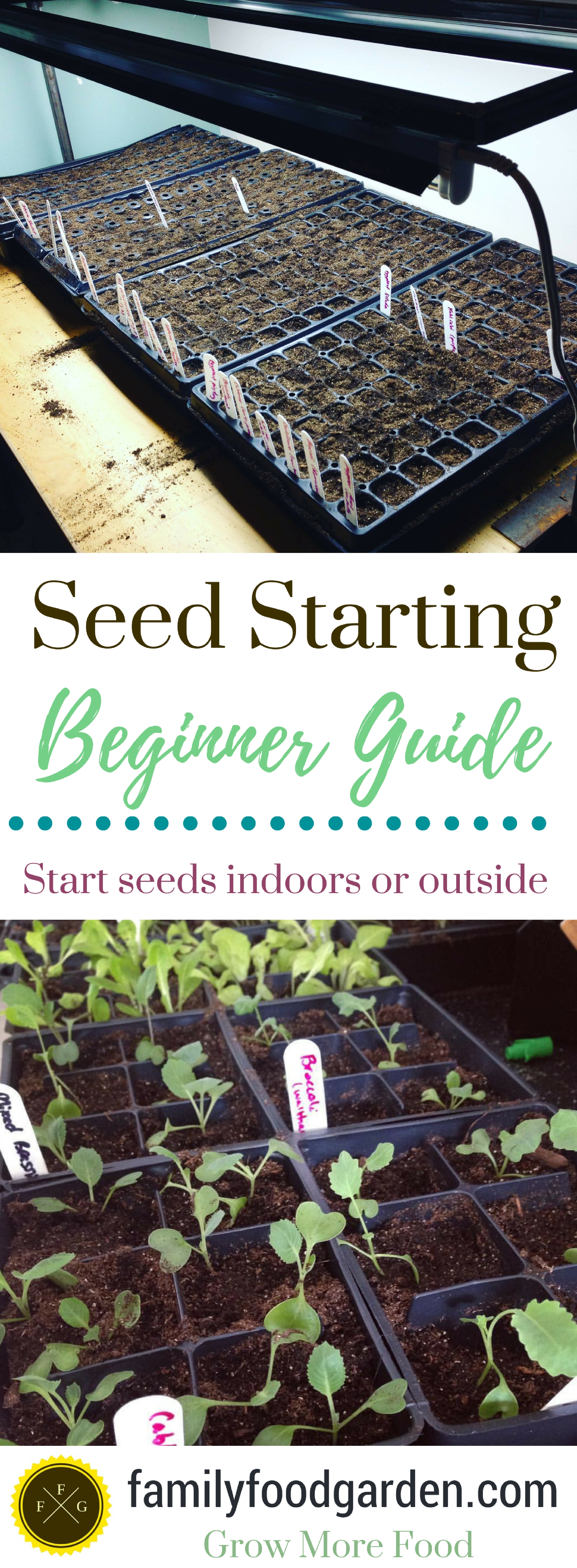 Successful seed starting tips for home gardeners