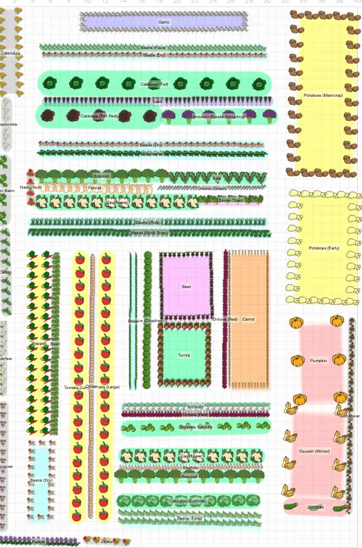 The Large-Scale Food Garden