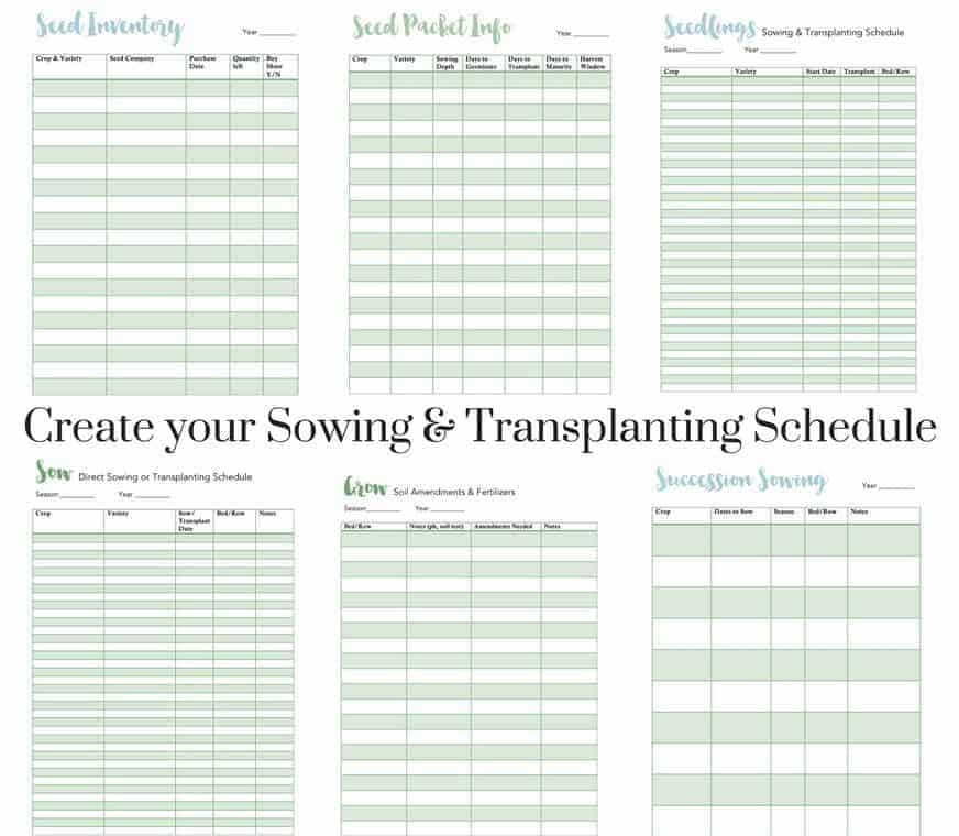 Direct Sow Or Transplant Chart