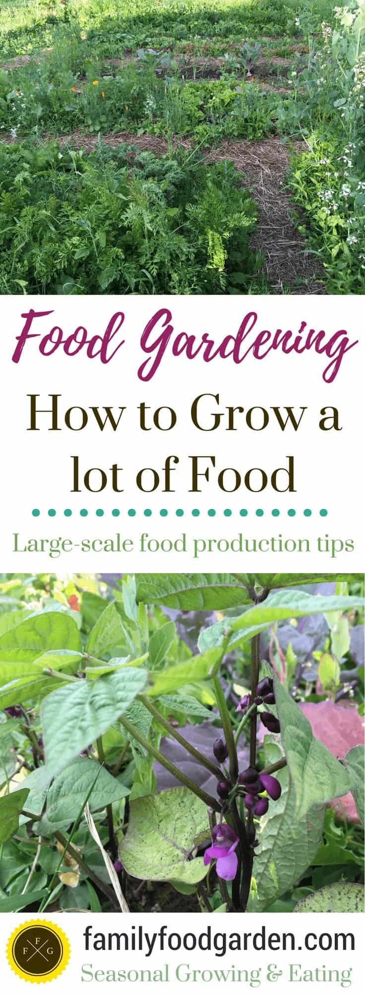 Grow a high-yield garden