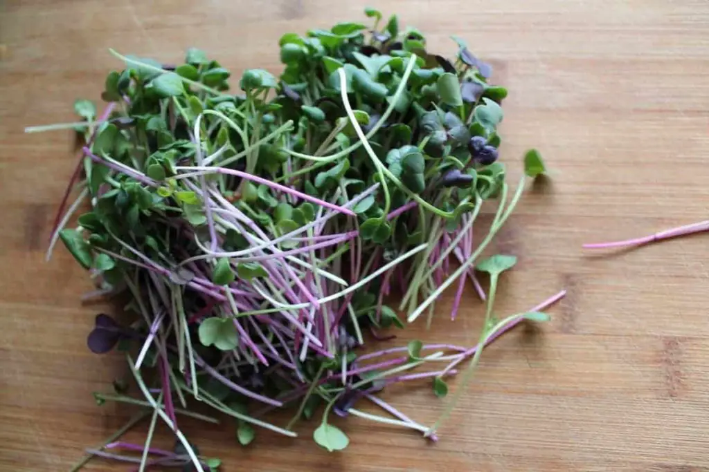 Indoor Microgreens