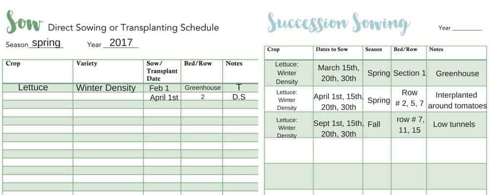 Ultimate Garden Planner: Sowing and Transplanting Schedule Sample