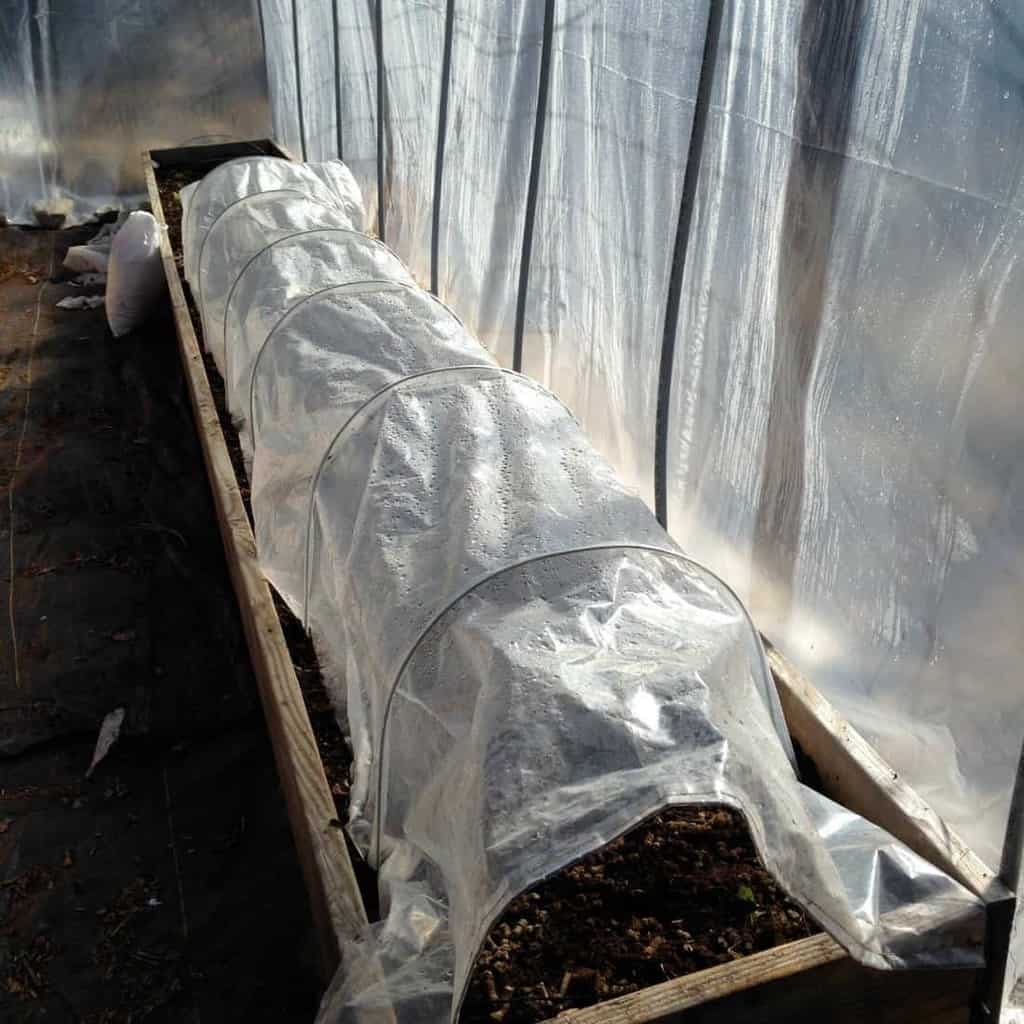 Fall Garden To Do List: Put Up Your Season Extenders (Polytunnels, Low tunnels, Unheated Greenhouses, or Frost Fabric)