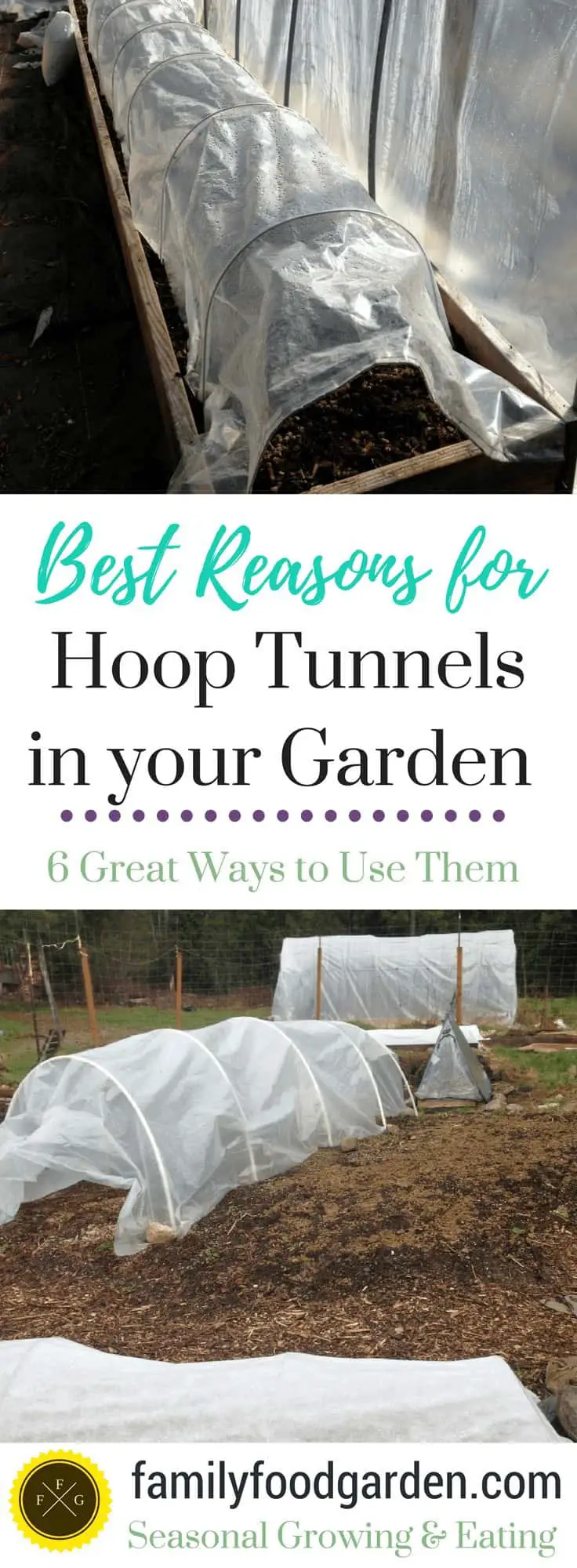 Great reasons to add hoop tunnels into your garden