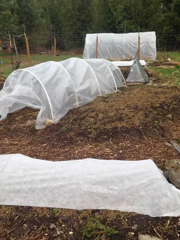 Hoophouse sizes for your garden: mini greenhouse, low tunnel and polytunnel