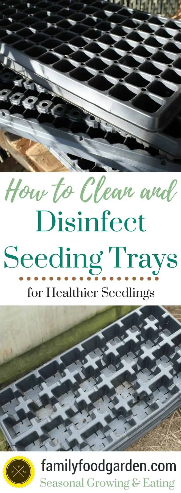 How to clean and disinfect seeding trays for healthier seedlings