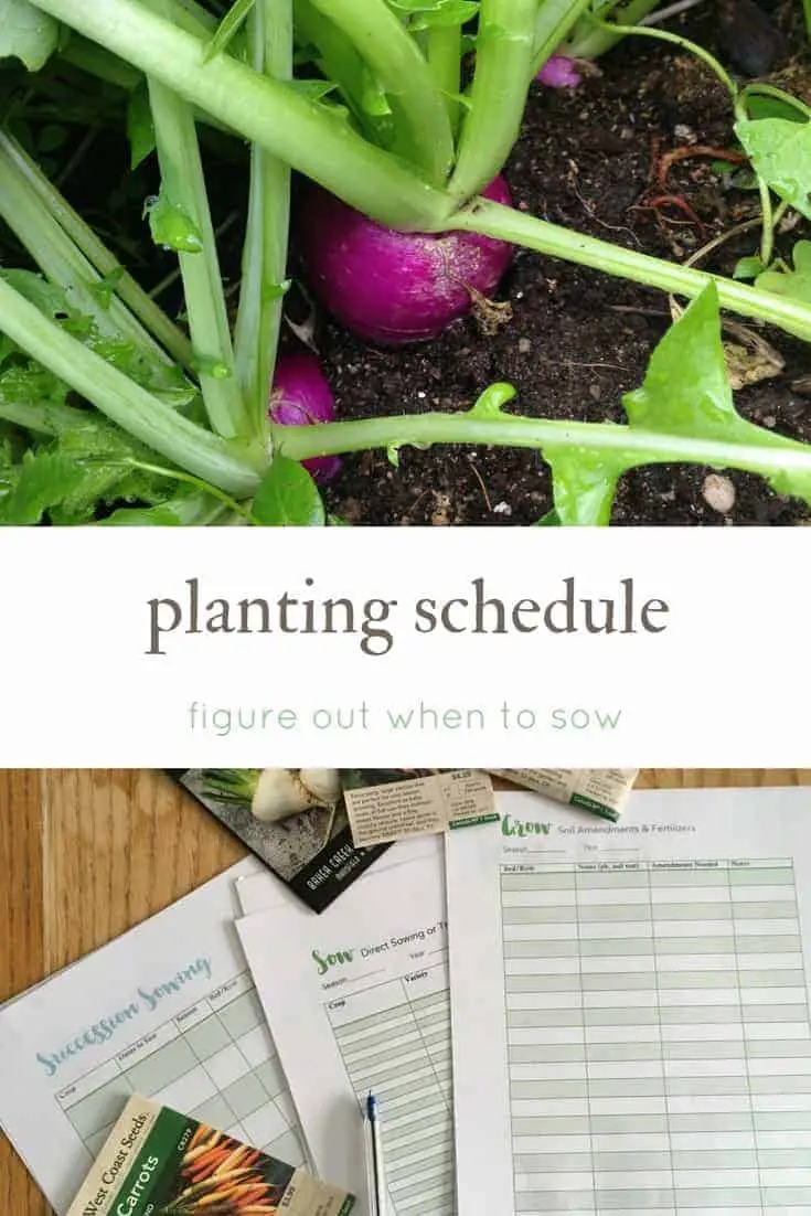 Create a planting schedule for your gardening season