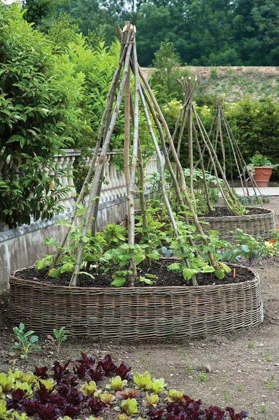 Vertical Gardening Example