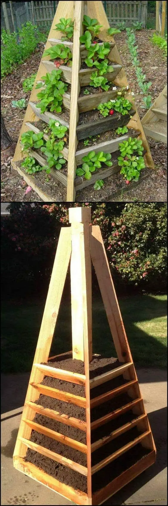 Build a strawberry tower