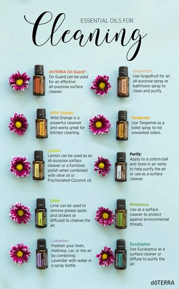 Essential Oils For Cleanings