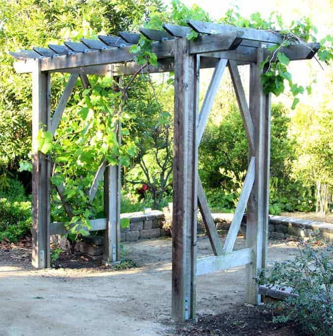 Vertical Gardening Ideas: DIY Arbor