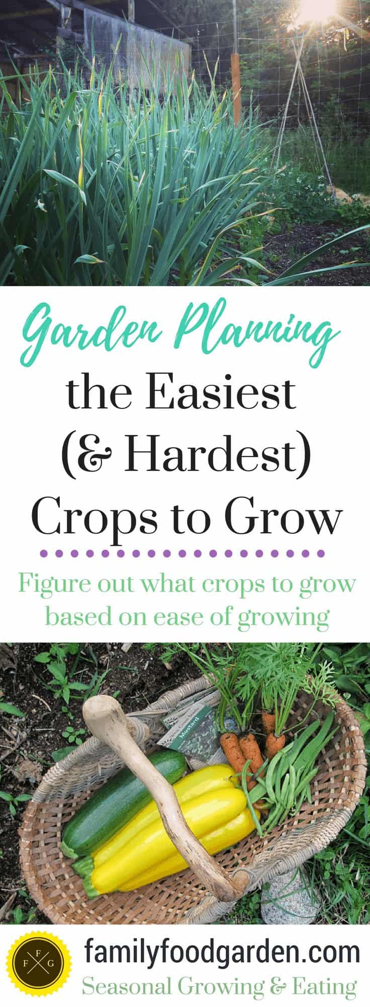 Garden Planning the Easiest (& Hardest) Crops to Grow