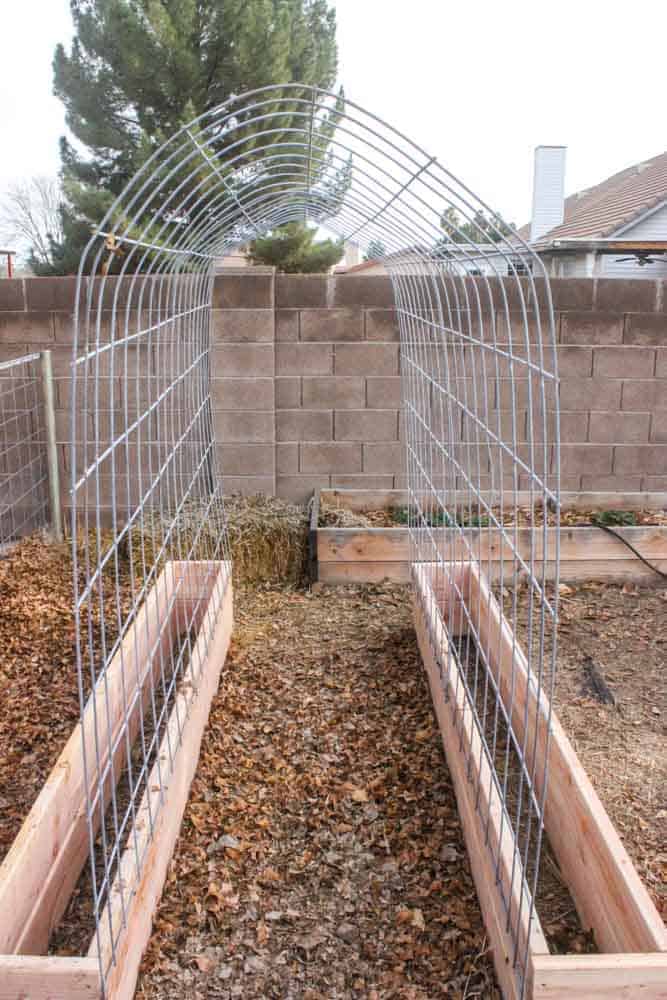 DIY Trellis & Raised Garden Box Combo