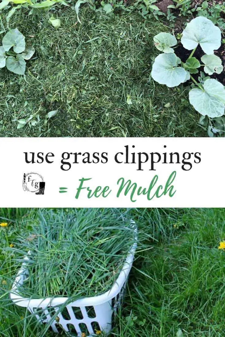 Use Grass Clippings = Free Mulch