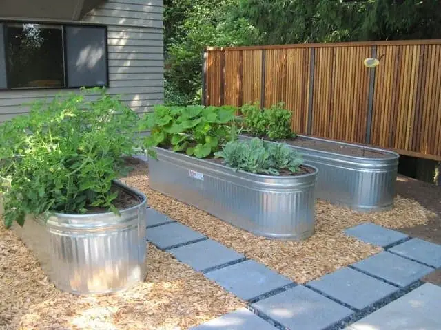 Raised Vegetable Garden Beds & Ideas