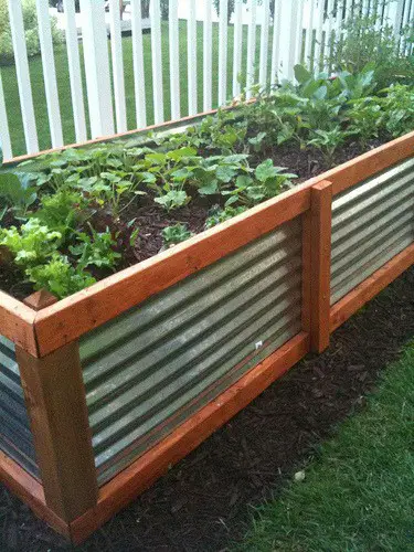 Raised Vegetable Garden Beds & Ideas