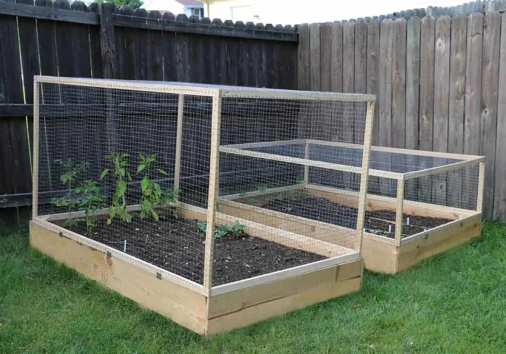 Rodent proof garden beds