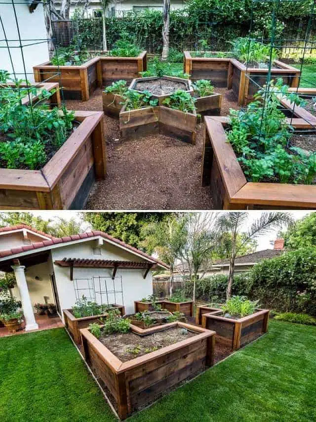 Garden design ideas: Raised Garden Beds