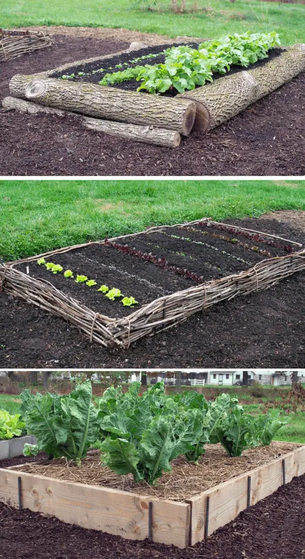 Raised Vegetable Garden Beds & Ideas