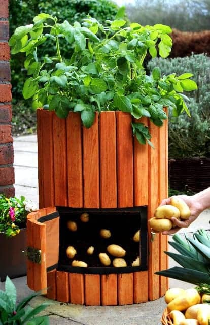 Wooden Potato Barrel