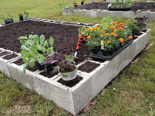 Raised Vegetable Garden Beds & Ideas