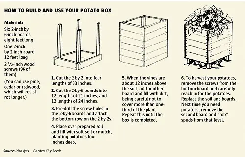 How to build and use your potato box