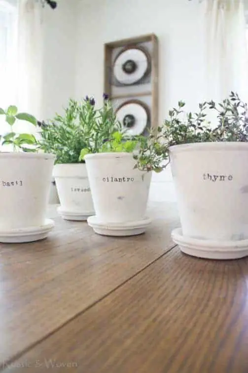 Herb Container Ideas: Cute Chalk Painted Pots