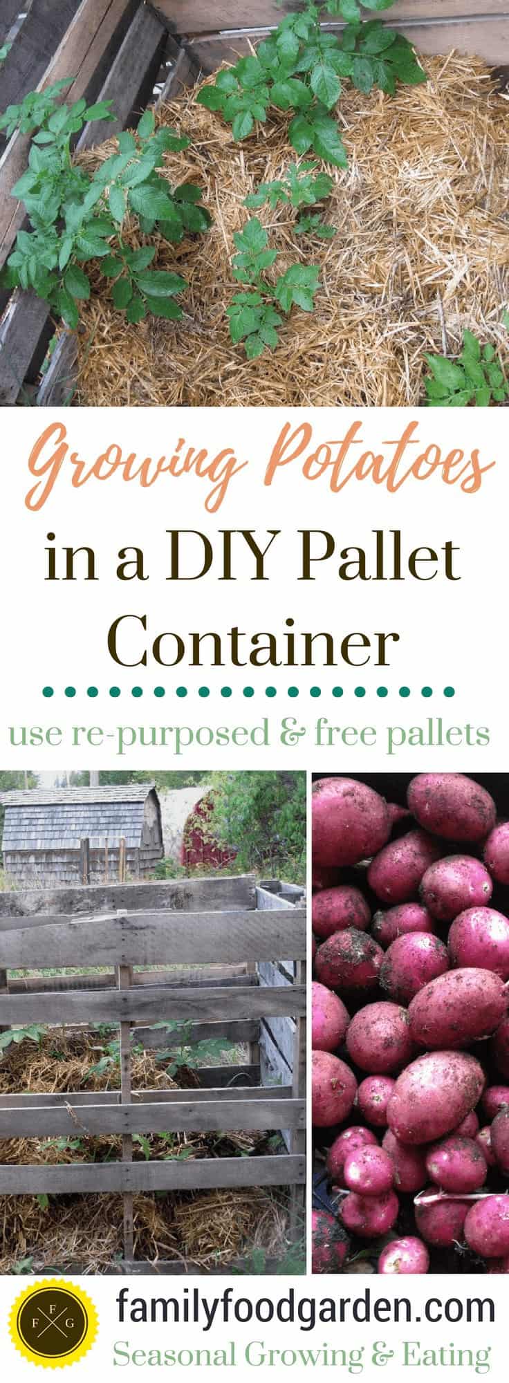 Grow Potatoes in a Pallet Container