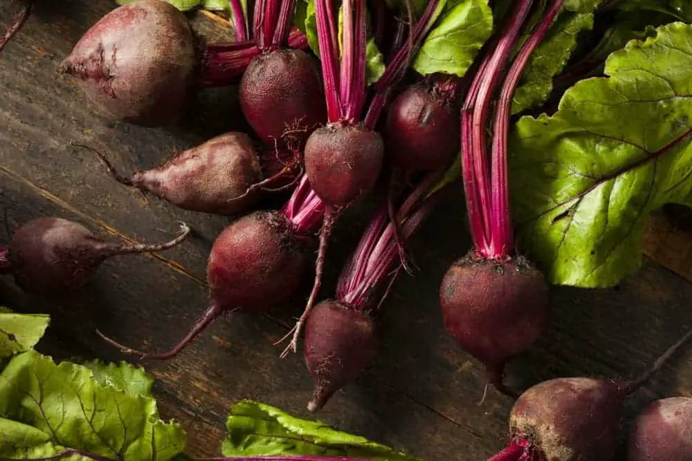 How to grow beets