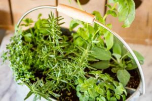 Herb Gardens: Inspiration for beautiful Herb Gardens