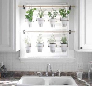 Indoor herb kitchen garden