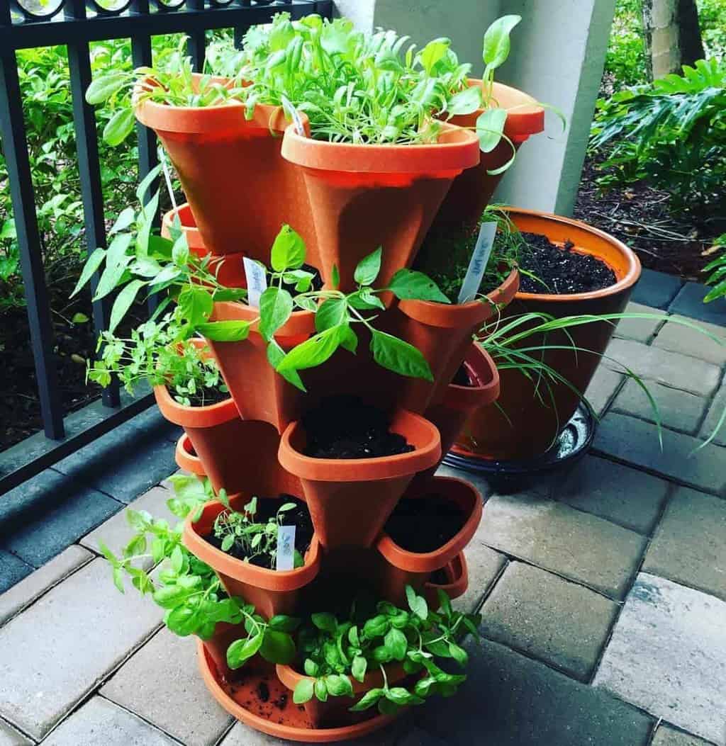 Herb Garden Ideas: Tiered Planter