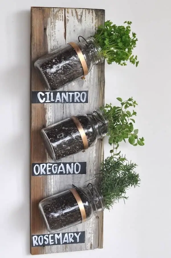 Indoor Herb Garden Using Mason Jars