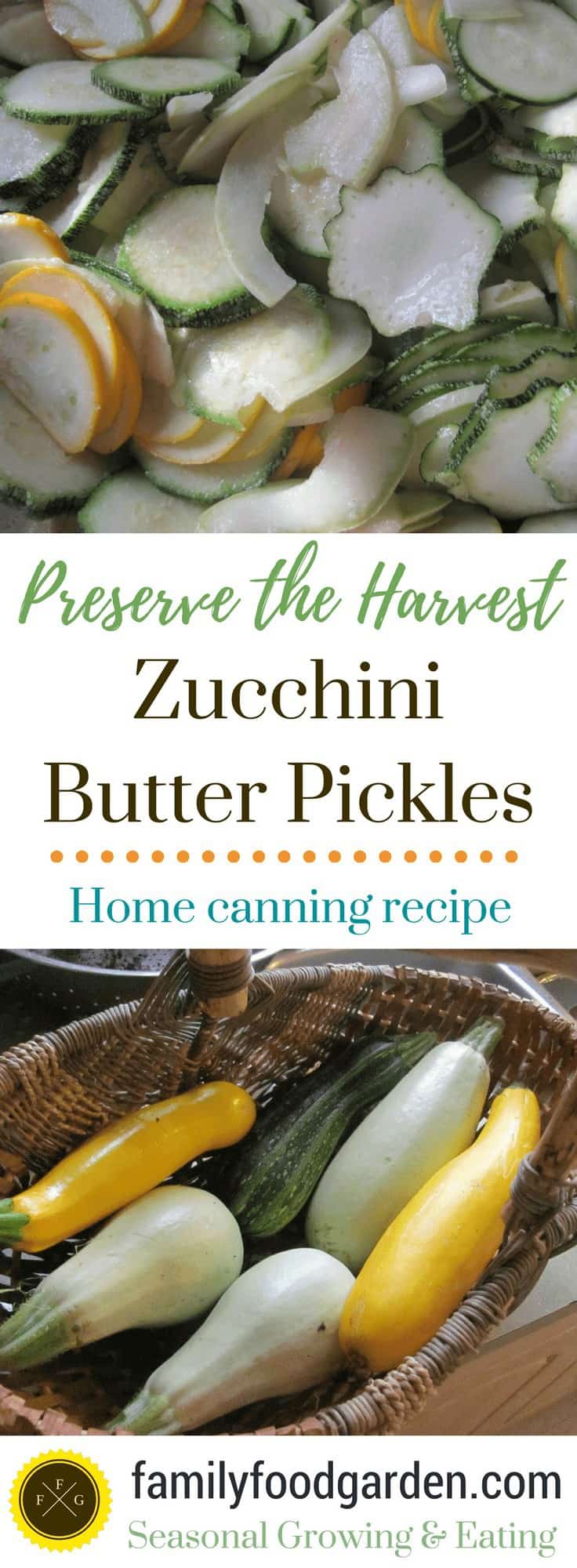 Preserve the harvest: Zucchini butter pickles (Home canning recipe)